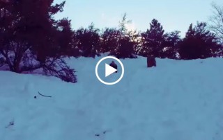 Embrace Mistakes – But Don’t Make This One